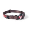 EzyDog Double Up halsband, bruin